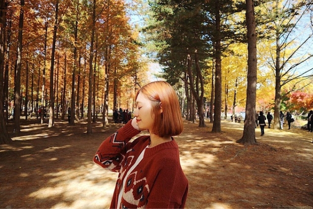 Cảnh đẹp ở H&agrave;n Quốc - M&ugrave;a thu