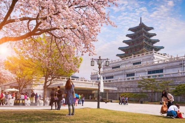 Chi phí du lịch Hàn Quốc 7 ngày - Hàn Quốc