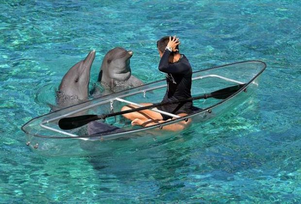 Chi phí du lịch Singapore tự túc - đảo cá heo