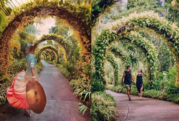 Chi phí du lịch Singapore tự túc - vườn bách thảo