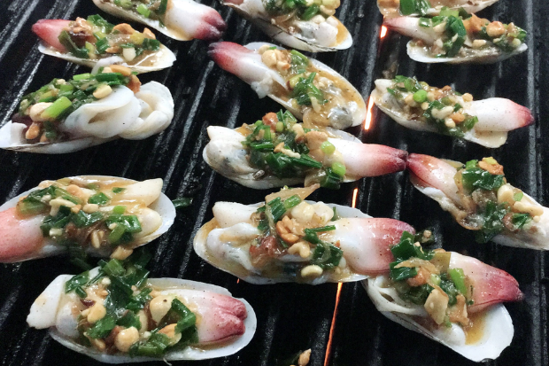 combo du lịch C&aacute;t B&agrave; - tu h&agrave;i