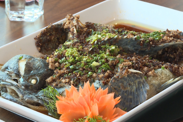 combo du lịch C&aacute;t B&agrave; - c&aacute; sam