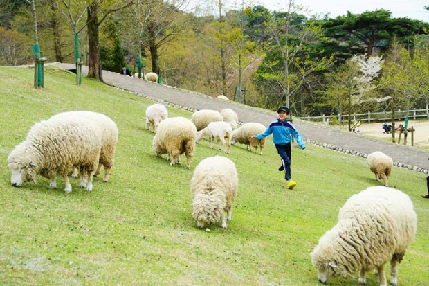 Du lịch Kobe - Rokko