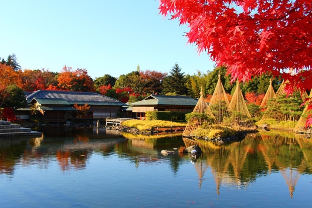 Du lịch Nagoya - Vườn Tokugawaen