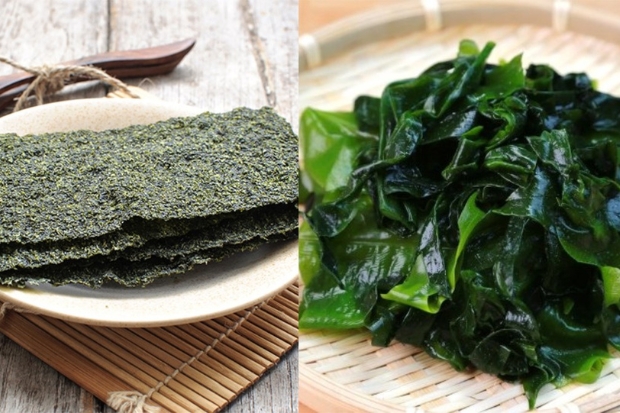 H&agrave;n Quốc c&oacute; g&igrave; - Rong biển