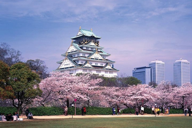 Lâu đài Osaka - mùa xuân