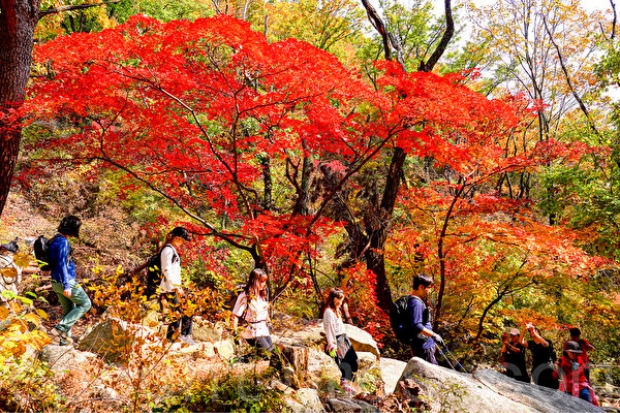 Thời tiết Hàn Quốc tháng 9 - Vườn quốc gia Bukhansan