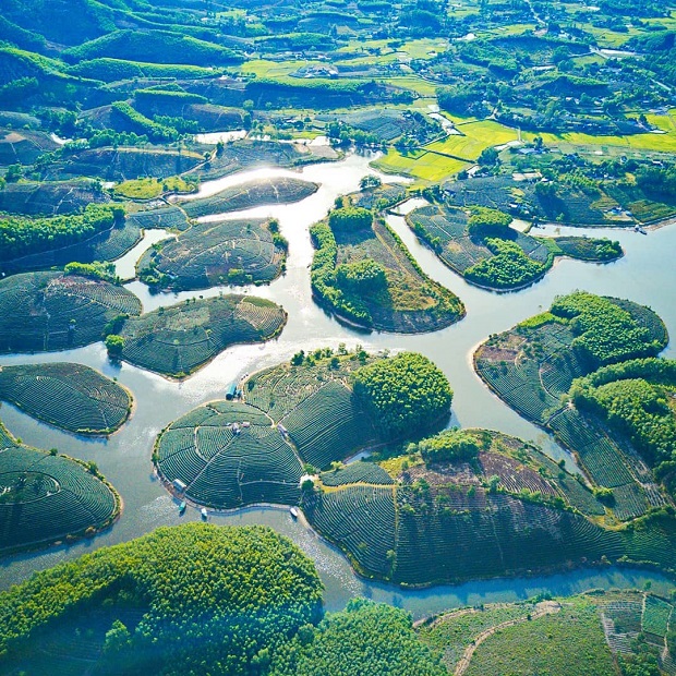 Về thăm Nghệ An, chiêm ngưỡng cảnh đẹp ấn tượng ở đảo chè Thanh Chương đảo chè Thanh Chương Nghệ An
