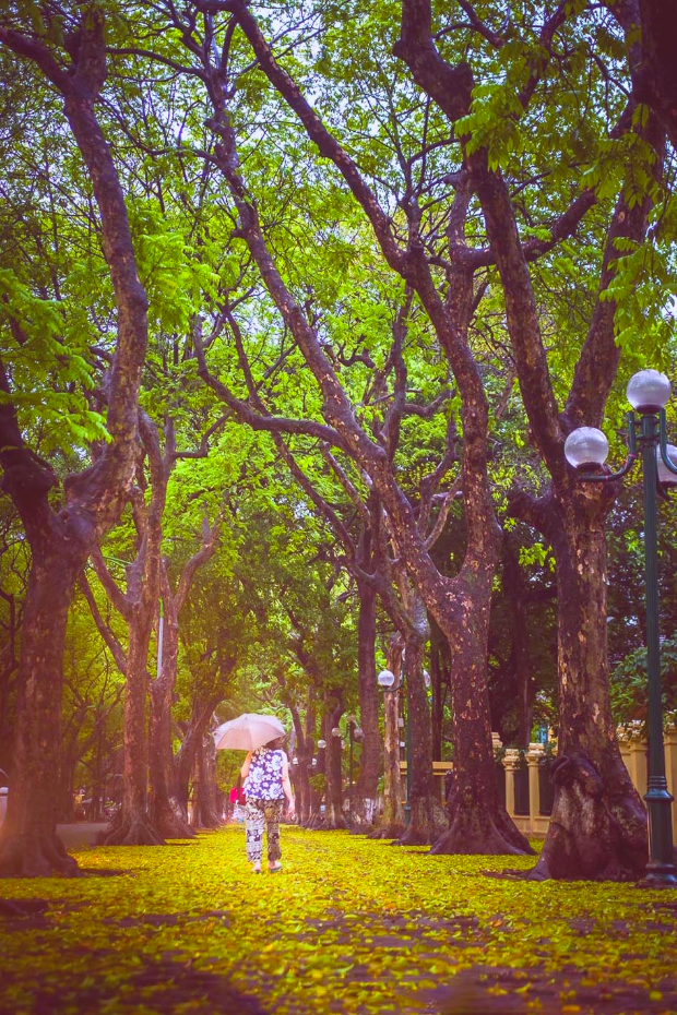 Vé máy bay đi Hà Nội tháng 7