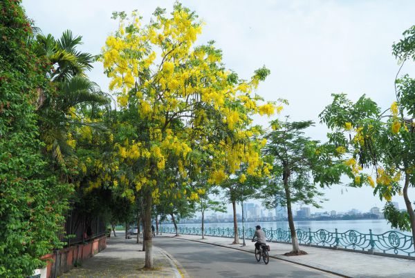 Săn vé máy bay đi Hà Nội tháng 7 