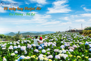 Vé máy bay Hải Phòng đi Đà Lạt Vietjet
