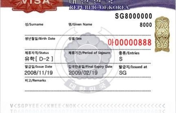 visa d8-2 h&agrave;n quốc