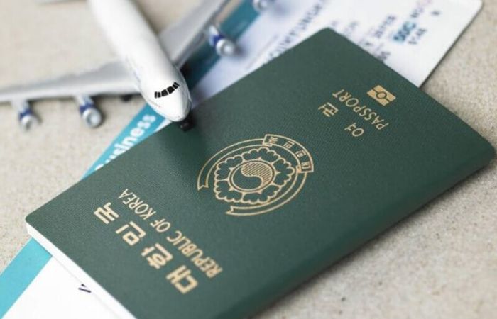 ph&acirc;n loại c&aacute;c visa d8