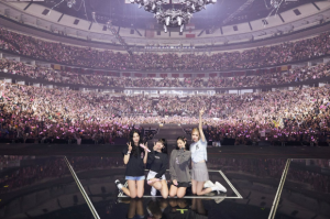 Bao nhiêu tuổi mới được đi Concert Blackpink?