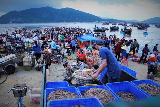 biển Hồ Tr&agrave;m Vũng T&agrave;u - chợ hải sản