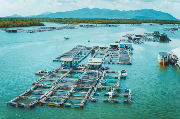 biển Hồ Tr&agrave;m Vũng T&agrave;u - long sơn