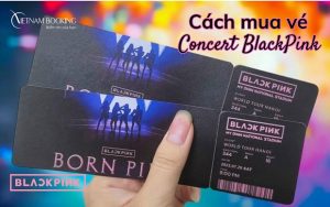 Cách mua vé concert BlackPink đơn giản, nhanh nhất