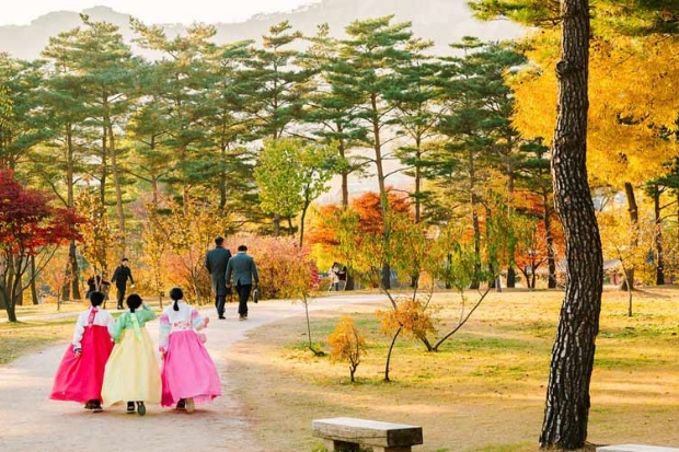 Chơi g&igrave; ở H&agrave;n Quốc - M&ugrave;a thu