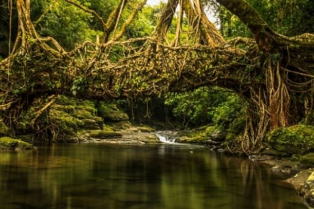 combo Melia Hồ Tràm - Bình Châu - Phước Bửu 