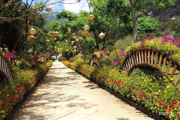 đảo Hoa Lan - tour, combo