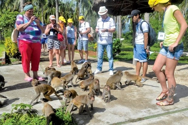 đảo Hoa Lan - chơi g&igrave;