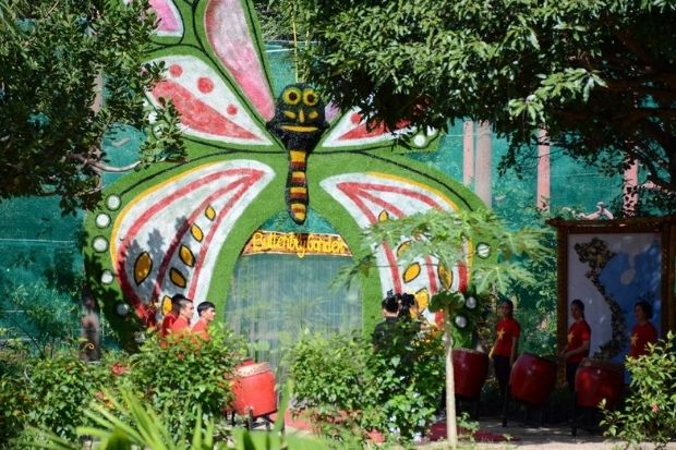 đảo Hoa Lan - vườn bướm