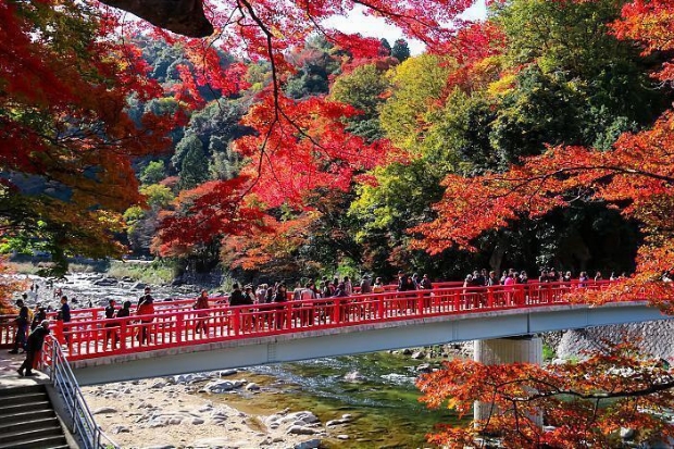 Du lịch Aichi - Thung lũng Korankei