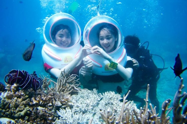 Du lịch Hòn Tằm tự túc - Đi bộ ngắm san hô