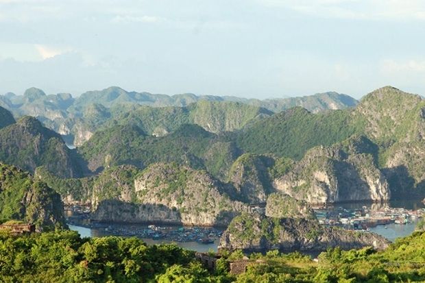 Flamingo C&aacute;t B&agrave; Beach Resort - vườn quốc gia C&aacute;t B&agrave;