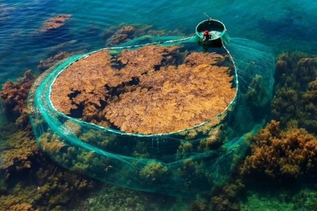 h&ograve;n Kh&ocirc; - đến H&ograve;n Kh&ocirc;