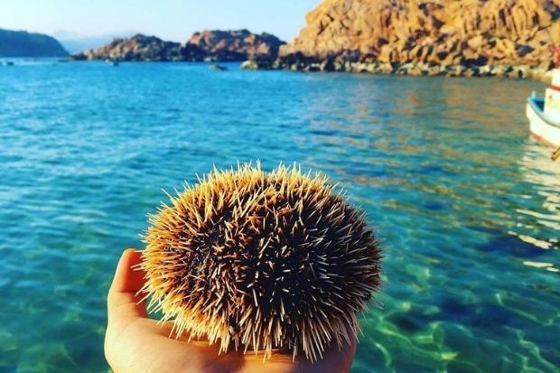 h&ograve;n Kh&ocirc; - hải sản