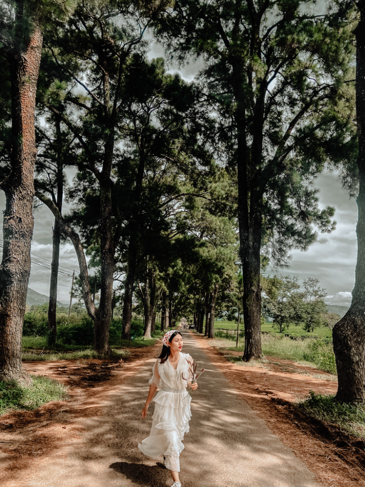 Khoảng cách từ Hà Nôi đến Pleiku