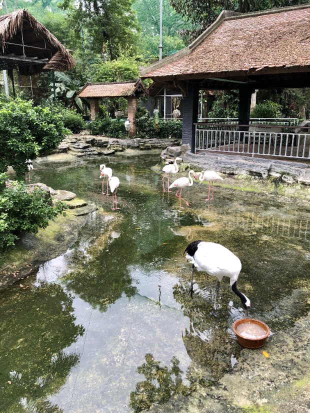  lịch bay từ Pleiku đi TPHCM h&agrave;ng ng&agrave;y