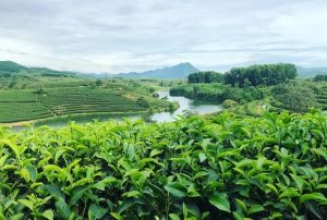 Lịch bay từ Nha Trang đi Vinh mới hàng ngày
