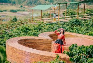 Lịch bay từ Vinh đi Đà Lạt cập nhật mới nhất