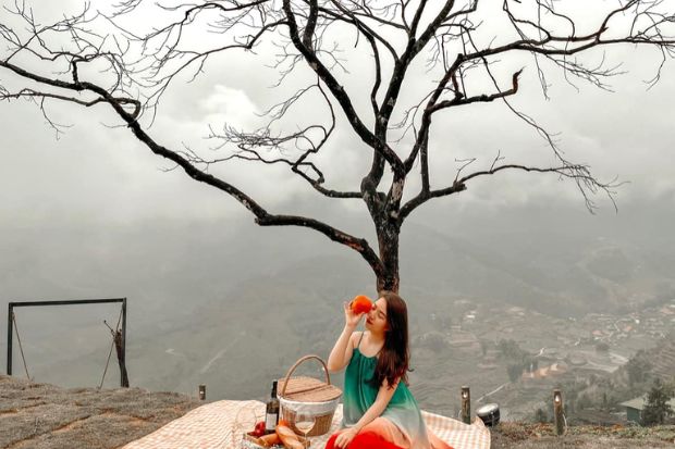 moana sapa - c&acirc;y c&ocirc; đơn