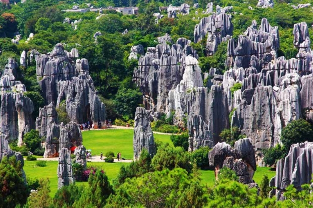 Núi Hàm Rồng Sapa có gì mà lại hấp dẫn du khách đến thế?