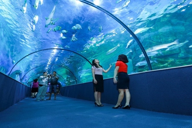 Review du lịch Nha Trang - Viện hải dương học