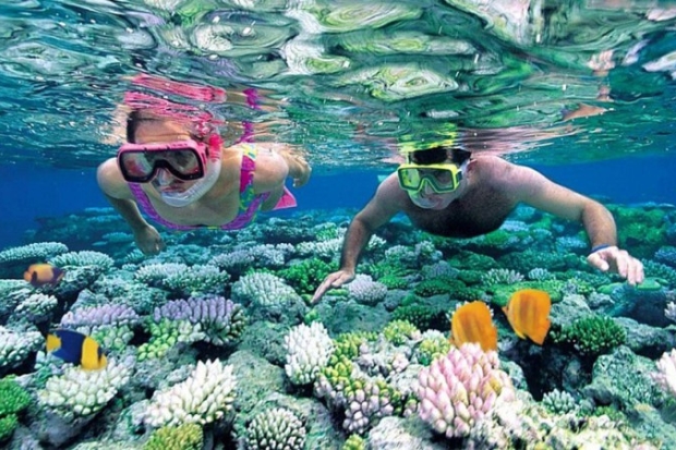 Review tour 3 đảo Phú Quốc - Lặn ngắm san hô