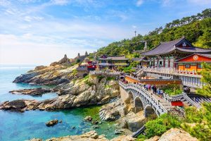 Thời gian bay từ Hà Nội đến Busan bao lâu?