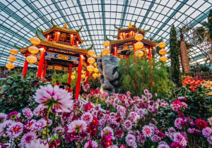 Thời tiết Singapore tháng 8 và gợi ý cách săn vé máy bay giá rẻ