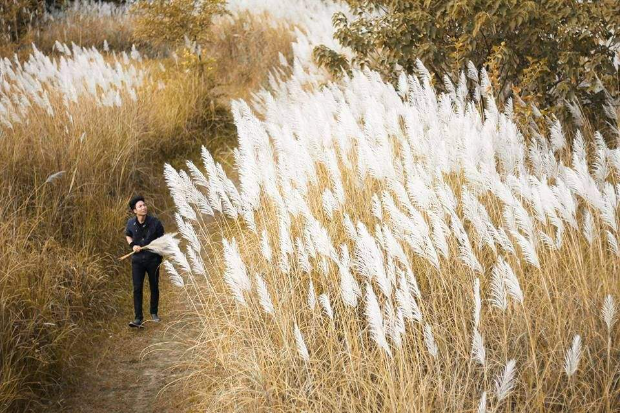 Thời tiết Đ&agrave; Lạt th&aacute;ng 7