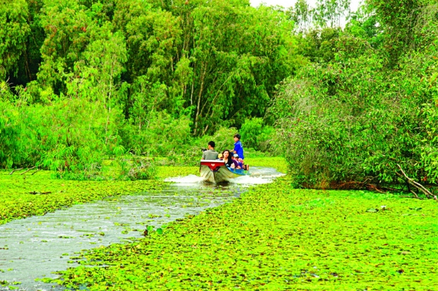 Tour miền Tây 1 ngày - Rừng tràm Trà Sư
