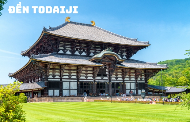 Tour Nhật Bản 4 ngày 4 đêm | Chuyến đi của những trải nghiệm tuyệt vời