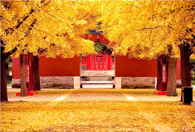 tử cấm thành ở đâu - mùa thu