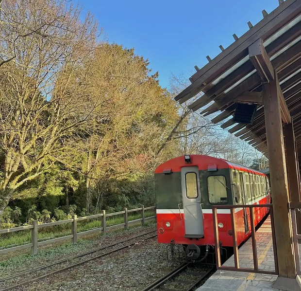 du lịch đài loan mùa thu