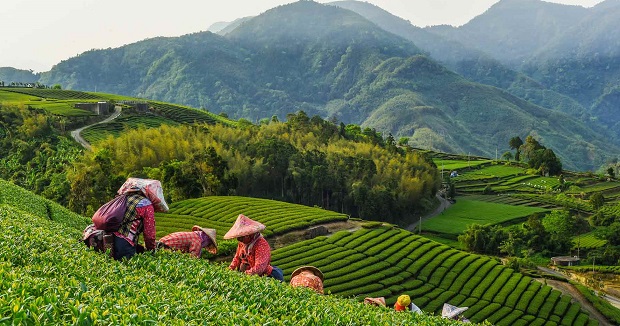 vé máy bay đi Đài Loan tháng 9 giá rẻ