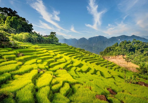 vé máy bay đi Thanh Hóa