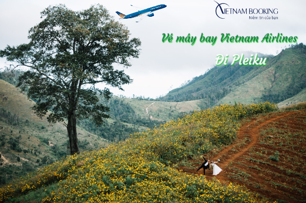 V&eacute; m&aacute;y bay Vietnam Airlines đi Pleiku 