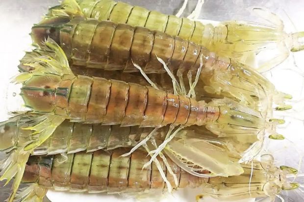 Vịnh Lan Hạ Review - bề bề